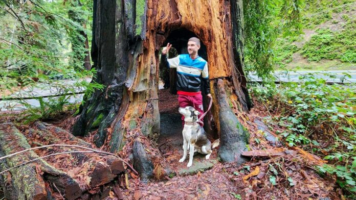 Humboldt Redwoods State Park