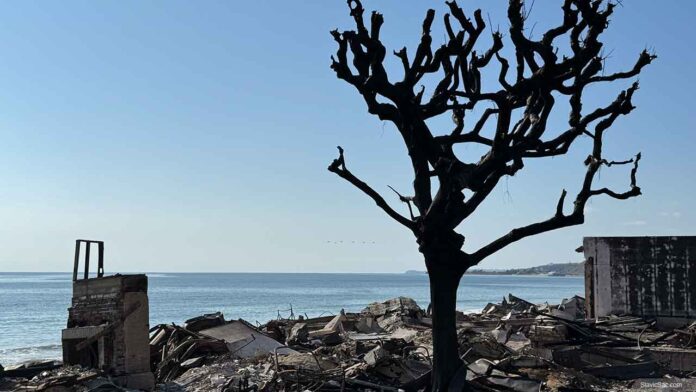 Pacific Palisade fire, Malibu, California